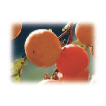 Persimmons Alexandria Fragrance Oil 500 ml