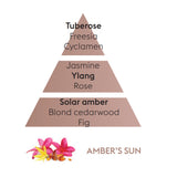 Lampe Berger Amber's Sun Fragrance Oil 500 ml